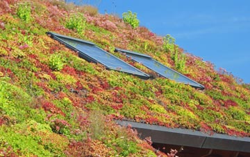 Scotswood living roof systems